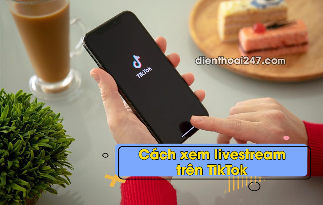 Cách xem livestream trên TikTok