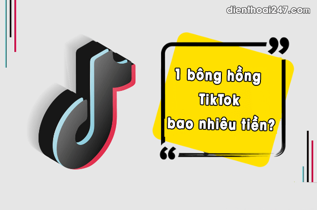 1 bong hong TikTok bao nhieu tien