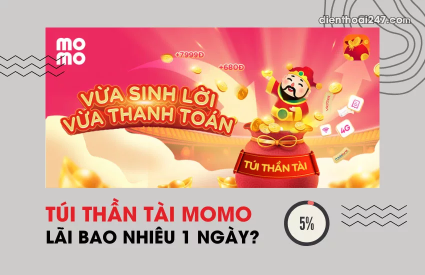 Tui than tai Momo lai bao nhieu 1 ngay